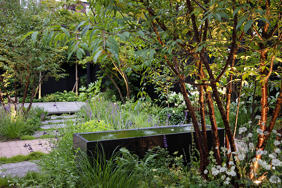 Contemporary Garden Sheen