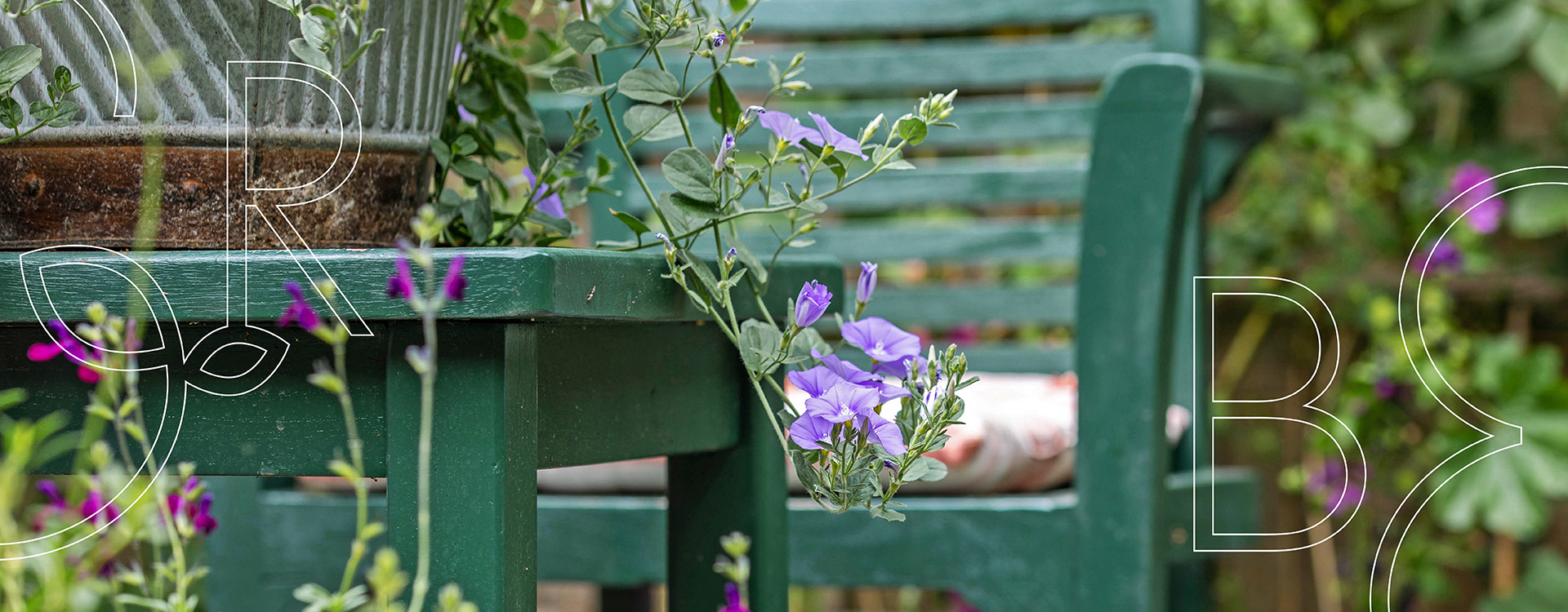Plantswoman's Garden, Putney Hill