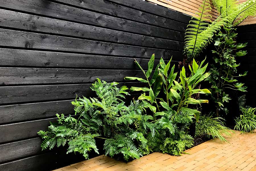 Small Courtyard Garden, Chiswick