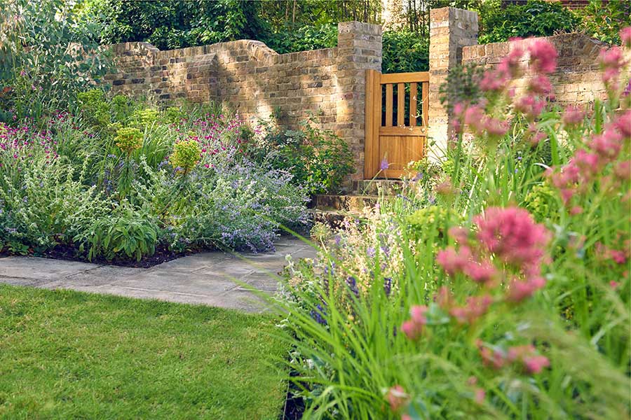 Perennial Planting, Belsize Park