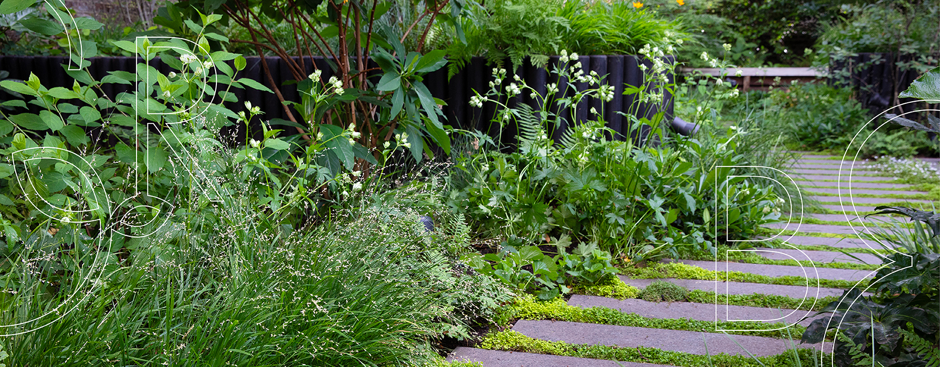 Urban Oasis Belsize Park